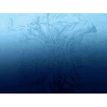 Wall Art Orginals Blue Ombre Flower 400x300cm