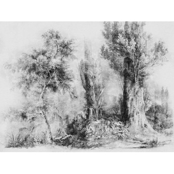 Wall Art Orginals Calm B_W 400x300cm