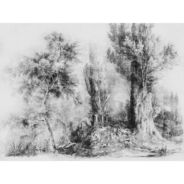 Wall Art Orginals Calm B_W 400x300cm Wall Art Orginals Calm B_W 400x300cm