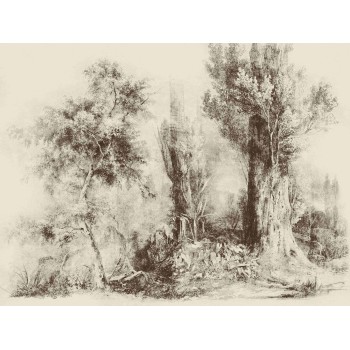 Wall Art Orginals Calm Beige 400x300cm