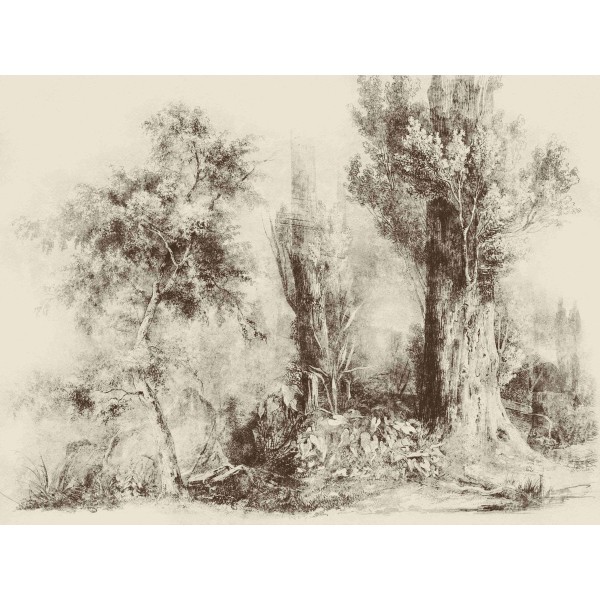 Wall Art Orginals Calm Beige 400x300cm Wall Art Orginals Calm Beige 400x300cm