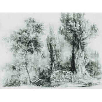 Wall Art Orginals Calm Green 400x300cm