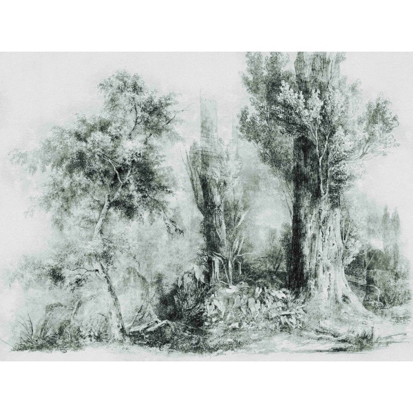 Wall Art Orginals Calm Green 400x300cm Wall Art Orginals Calm Green 400x300cm