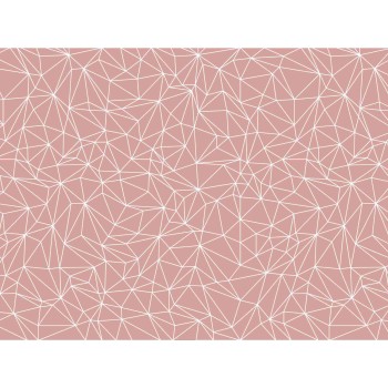 Wall Art Orginals Cosy Web Dirty Pink 400x300cm