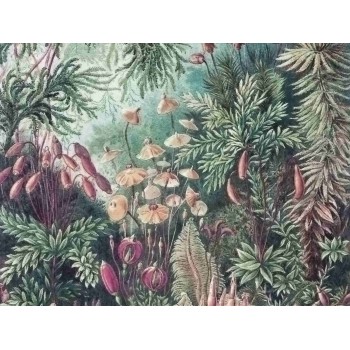 Wall Art Orginals Fairytale 400x300cm