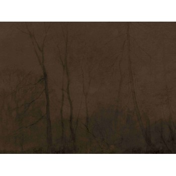 Wall Art Orginals Foggy Evening 400x300cm