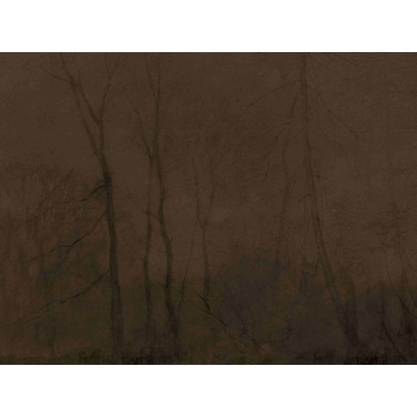 Wall Art Orginals Foggy Evening 400x300cm Wall Art Orginals Foggy Evening 400x300cm