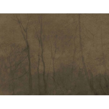 Wall Art Orginals Foggy Morning 400x300cm