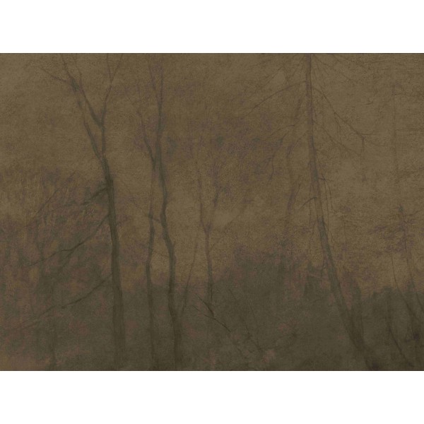 Wall Art Orginals Foggy Morning 400x300cm Wall Art Orginals Foggy Morning 400x300cm