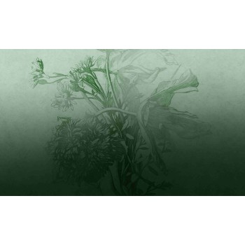 Wall Art Orginals Green Ombre Flower 500x300cm
