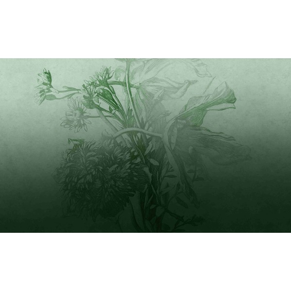 Wall Art Orginals Green Ombre Flower 500x300cm Wall Art Orginals Green Ombre Flower 500x300cm