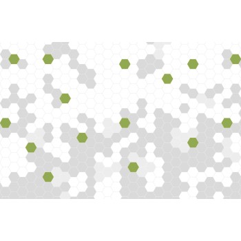Wall Art Orginals Hex Me Green 400x300cm