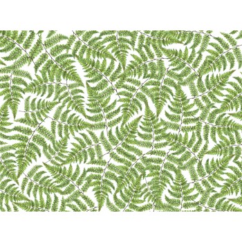 Wall Art Orginals Jurassic 400x300cm