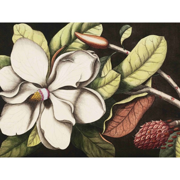 Wall Art Orginals Laurel 400x300cm Wall Art Orginals Laurel 400x300cm