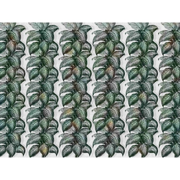 Wall Art Orginals Magnifica Light 400x300cm Wall Art Orginals Magnifica Light 400x300cm
