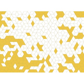 Wall Art Orginals Shapes Fusion Honey 400x300cm