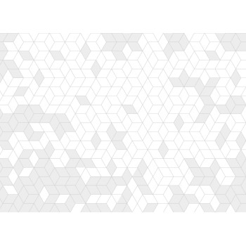 Wall Art Orginals Shapes Fusion Light Grey 400x300cm