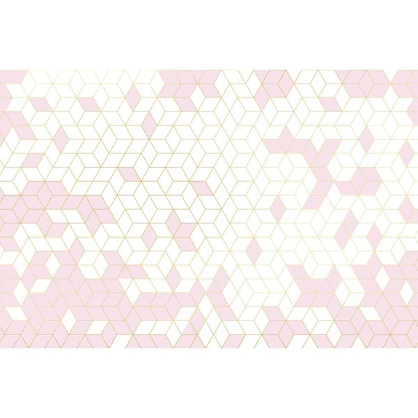Wall Art Orginals Shapes Fusion Pink_Gold 400x300cm Wall Art Orginals Shapes Fusion Pink_Gold 400x300cm