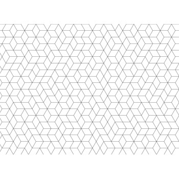 Wall Art Orginals Shapes Fusion White_Black 400x300cm