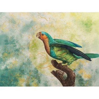 Wall Art Orginals Sierra 400x300cm