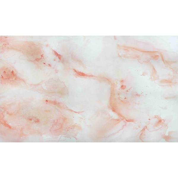 WALL ART Coral WALL ART Coral
