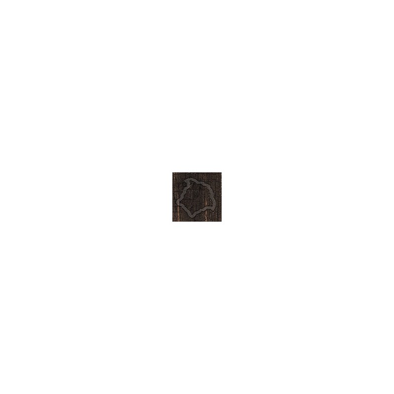 Versace ETERNO TozzettoMedusa.INT BROWN 5X5 69074000 płytka gresowa Versace ETERNO TozzettoMedusa.INT BROWN 5X5 69074000 płytka gresowa