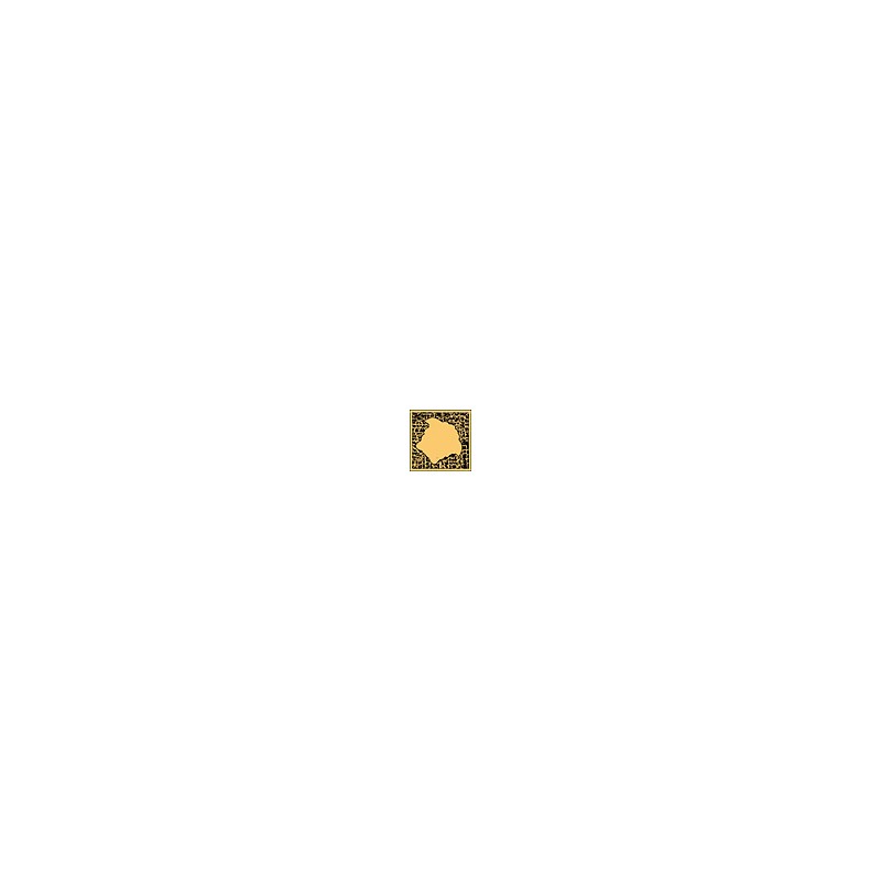 Versace ETERNO TozzettoMedusa.ORO CARBON2,7X2,7 69074000 płytka gresowa Versace ETERNO TozzettoMedusa.ORO CARBON2,7X2,7 69074000 płytka gresowa