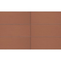 IRIS aura spice glossy glossy 10X30