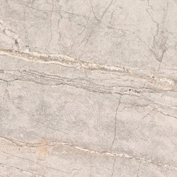 COLORADO SILVER ANT.L 59,6X120 Porcelanosa Płytka ceramiczna